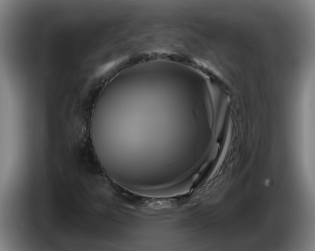 X0000086731303200704201638