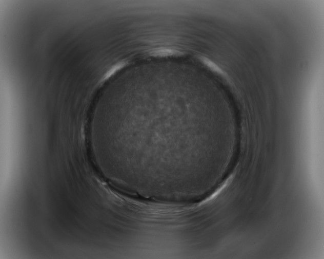 X0000086731305200704201638