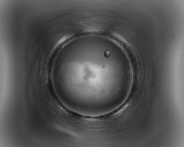 X0000086731306200704201638