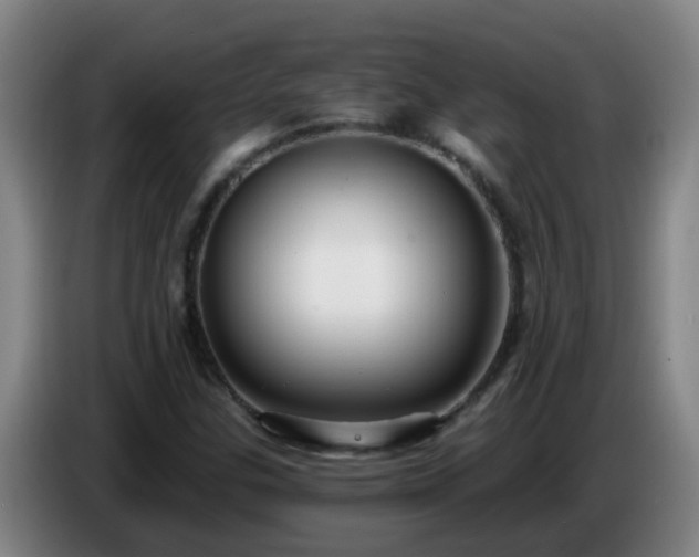 X0000086731307200704201638