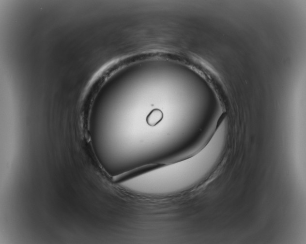 X0000086731310200704201638