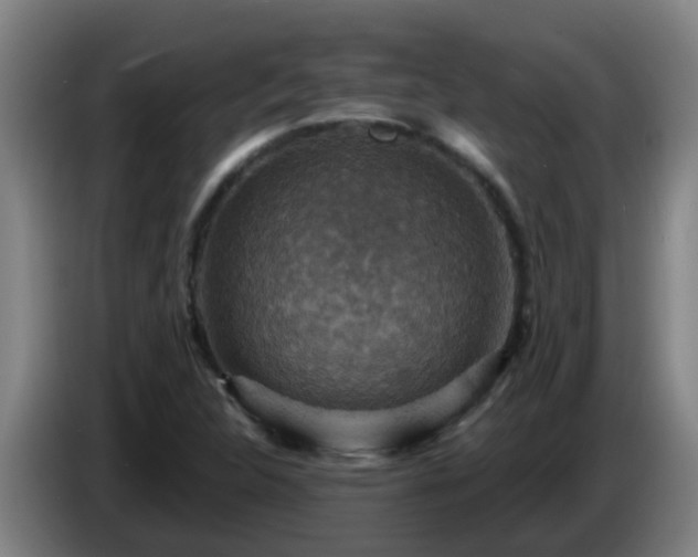 X0000086731312200704201638