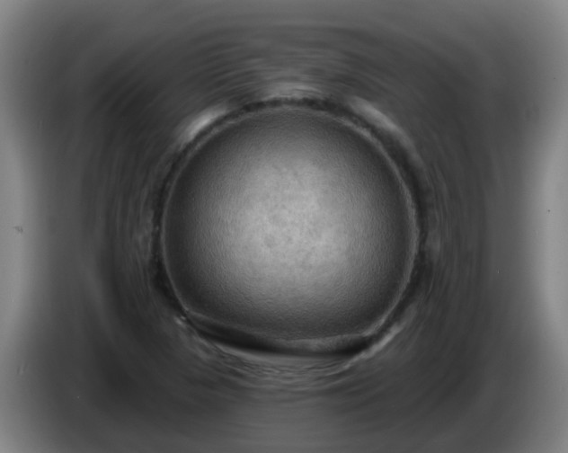 X0000086731313200704201638