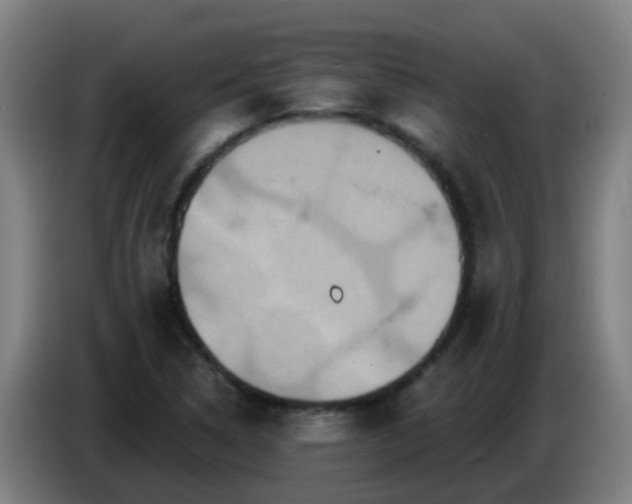 X0000086731314200704201638