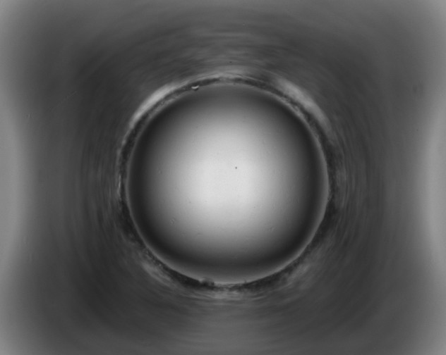 X0000086731316200704201638