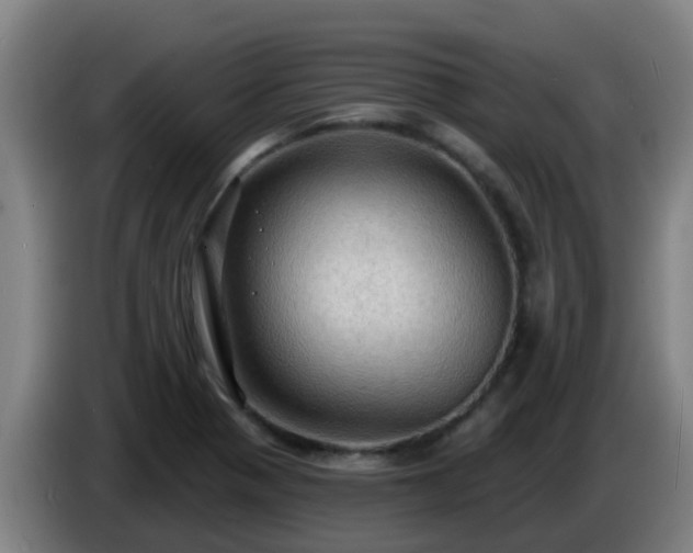 X0000086731321200704201638