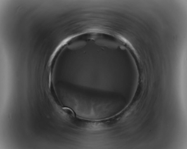 X0000086731323200704201638