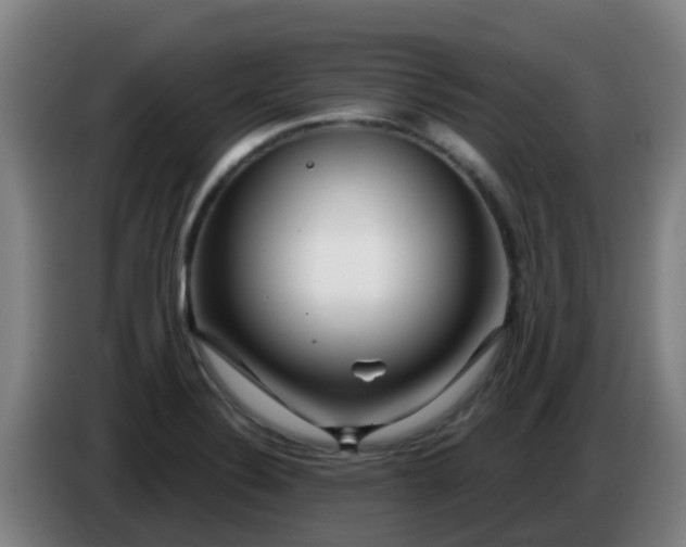 X0000086731324200704201638