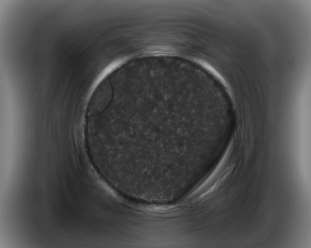 X0000086731325200704201638