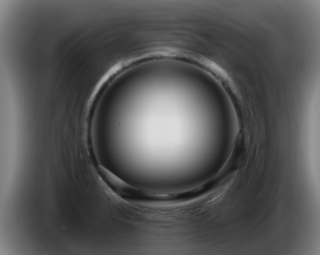 X0000086731326200704201638