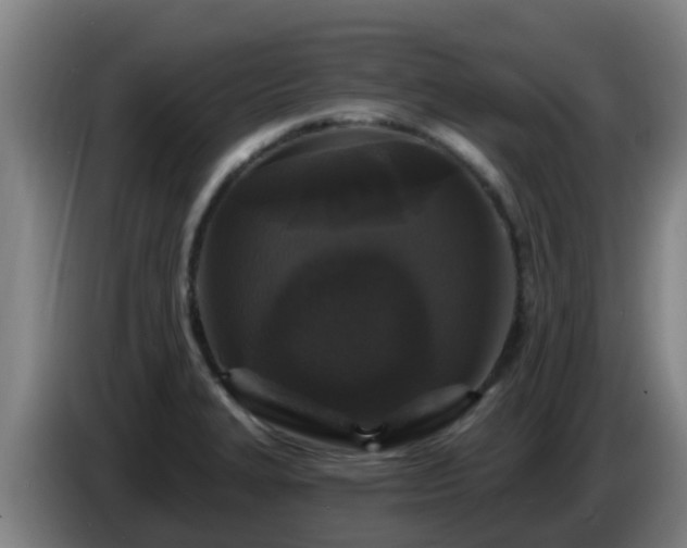 X0000086731327200704201638