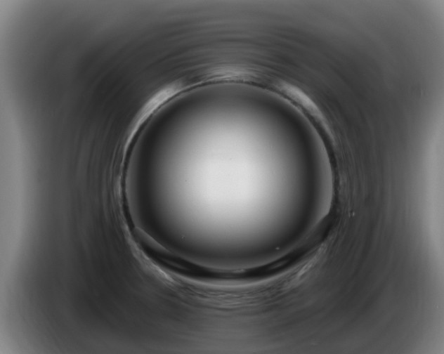 X0000086731330200704201638