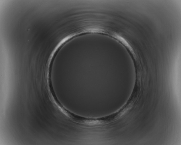 X0000086731331200704201638