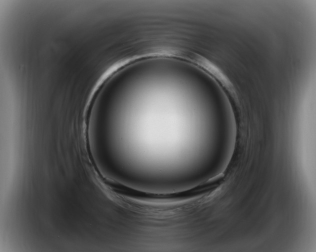 X0000086731332200704201638