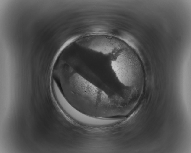 X0000086731333200704201638