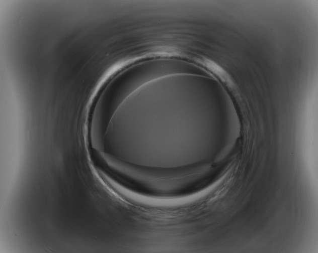 X0000086731334200704201638