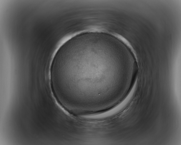 X0000086731335200704201638