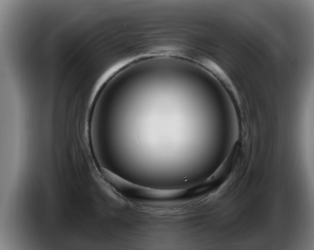 X0000086731336200704201638