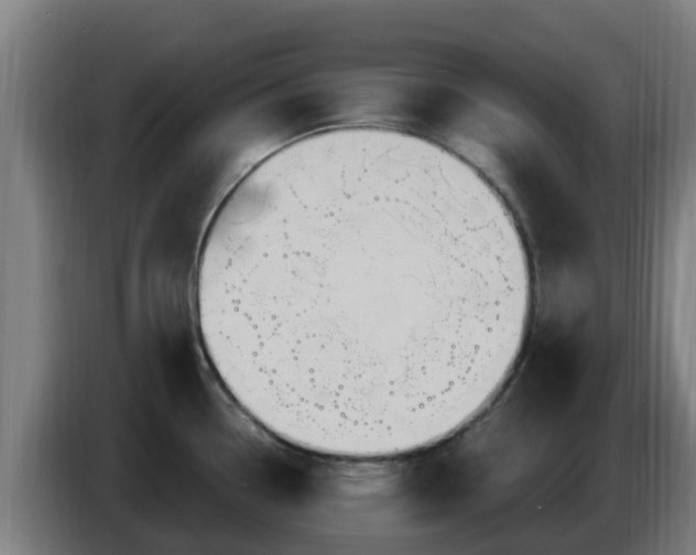 X0000086731338200704201638