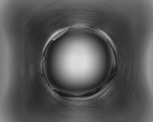 X0000086731340200704201638