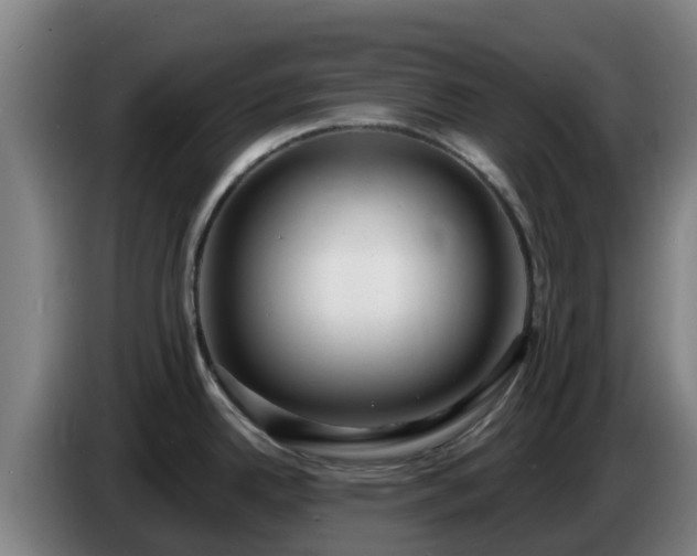 X0000086731342200704201638