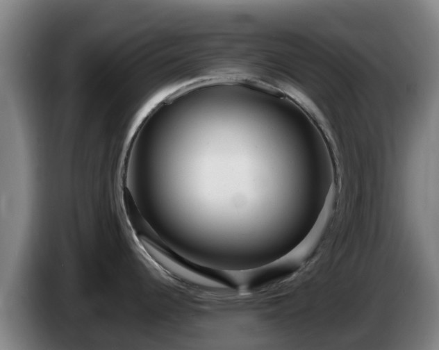 X0000086731344200704201639