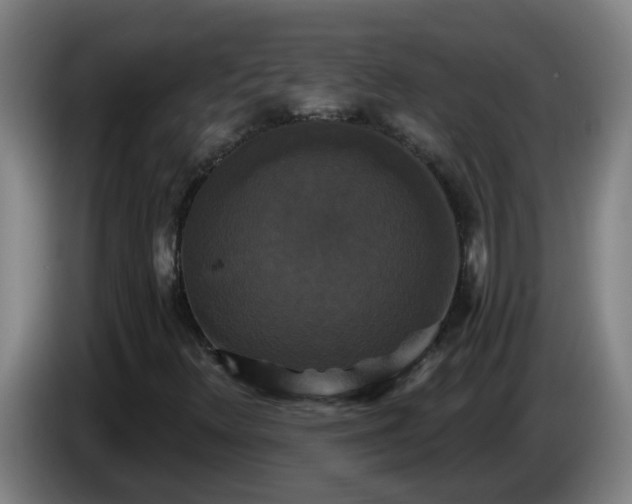 X0000086731348200704201638