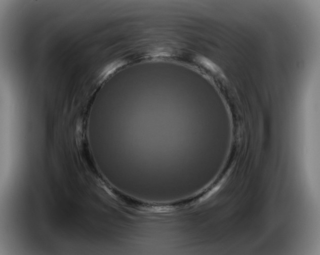 X0000086731353200704201638