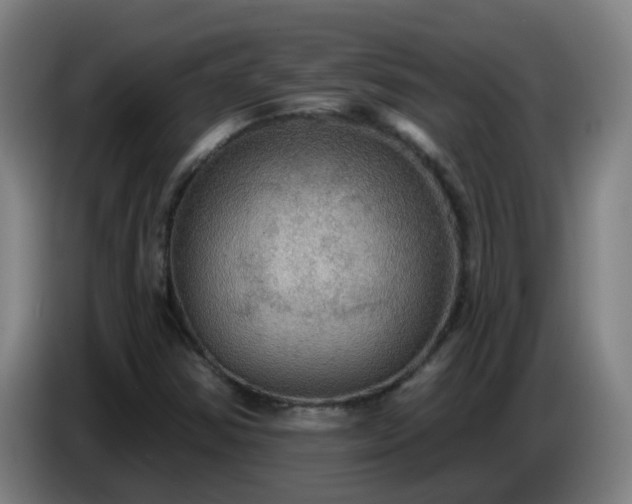 X0000086731354200704201638