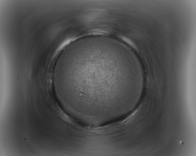 X0000086731355200704201638