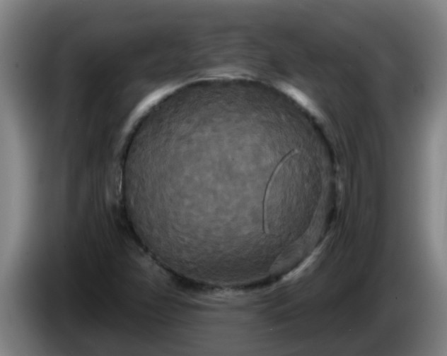 X0000086731358200704201638