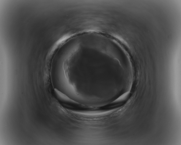 X0000086731359200704201638