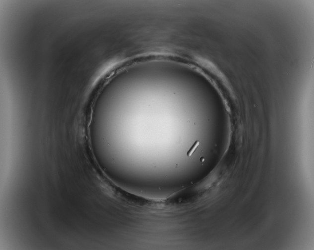 X0000086731360200704201638