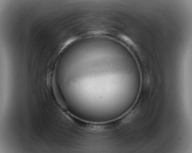 X0000086731361200704201638