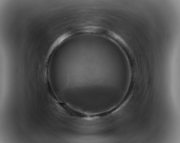 X0000086731362200704201638