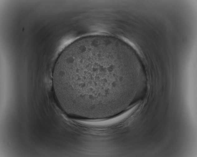 X0000086731363200704201638