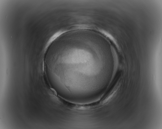 X0000086731365200704201638