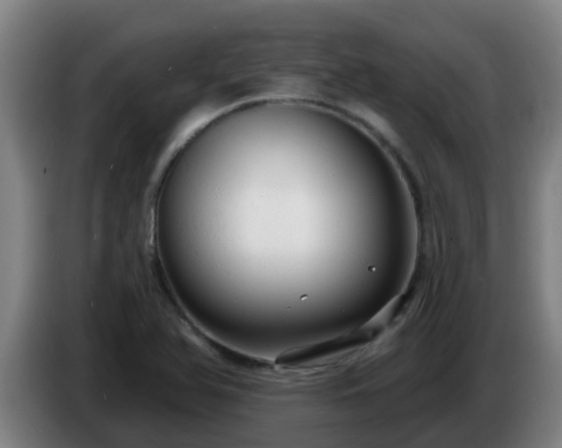 X0000086731366200704201638