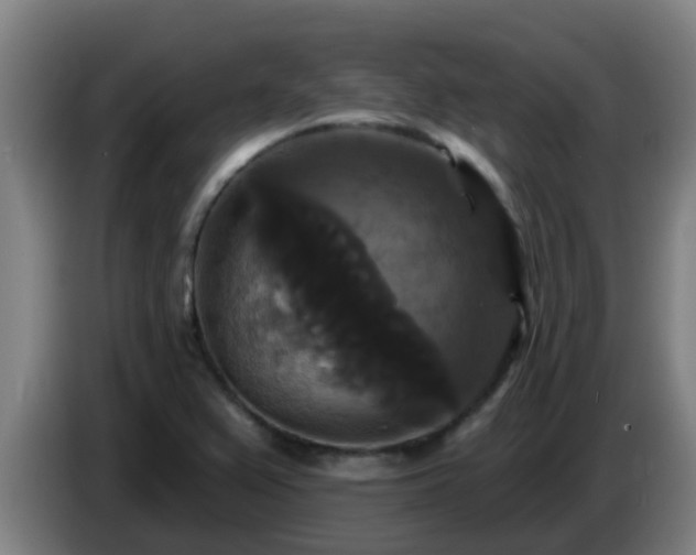 X0000086731367200704201638