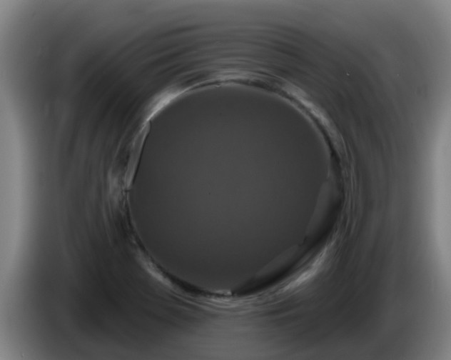 X0000086731369200704201638