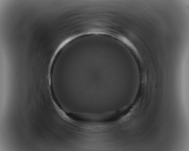 X0000086731372200704201638