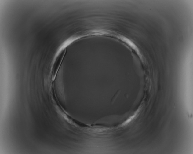 X0000086731373200704201638