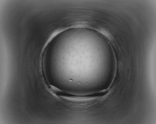 X0000086731374200704201638