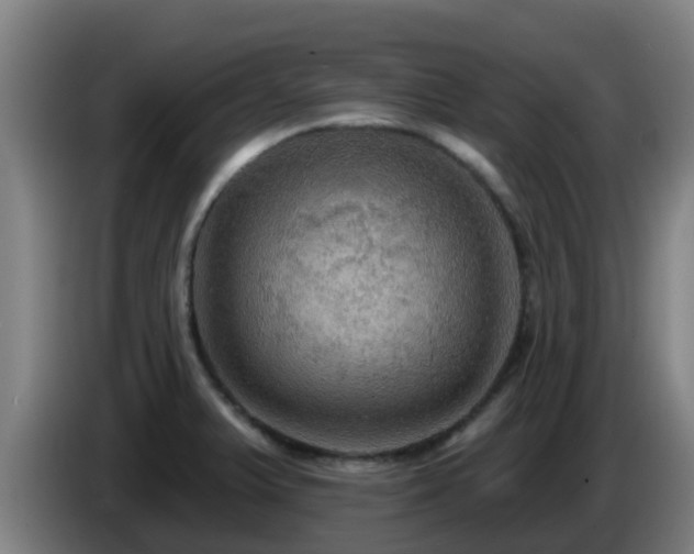 X0000086731375200704201638