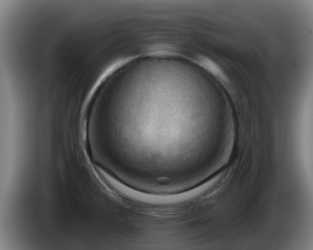 X0000086731376200704201638