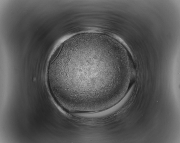 X0000086731379200704201637