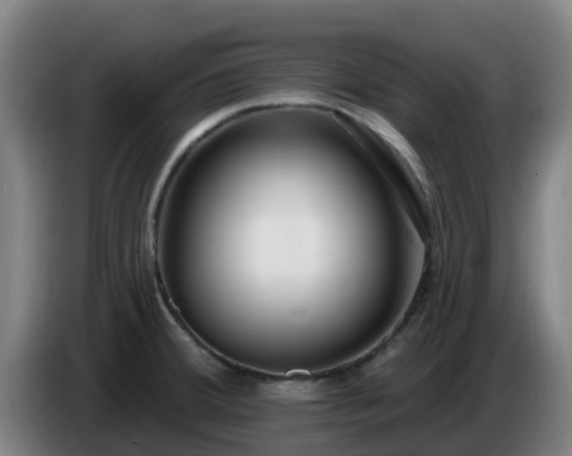 X0000086731380200704201637