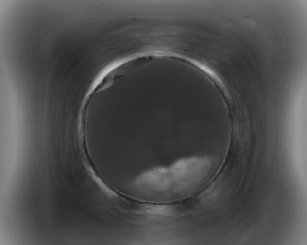 X0000086731382200704201637