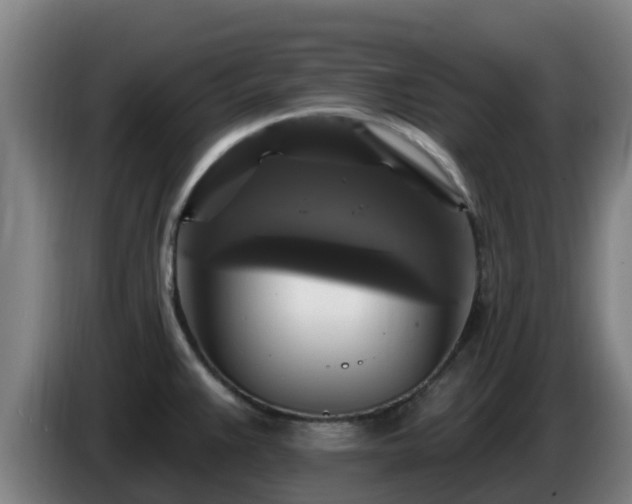 X0000086731383200704201637