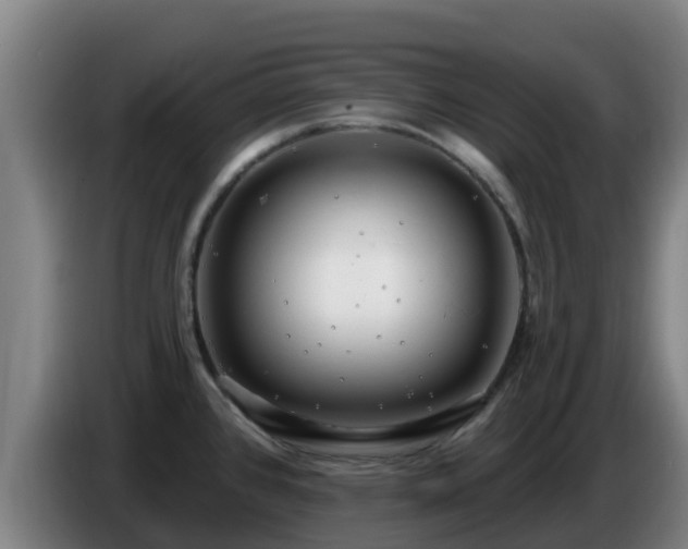 X0000086731384200704201637